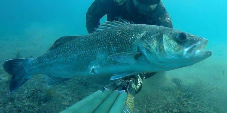 Za ovaj se osjećaj ide u more!