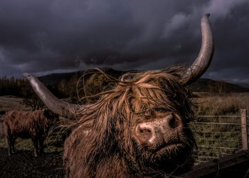 Zašto su imućni ulagači trenutačno super raspoloženi za Bitcoin