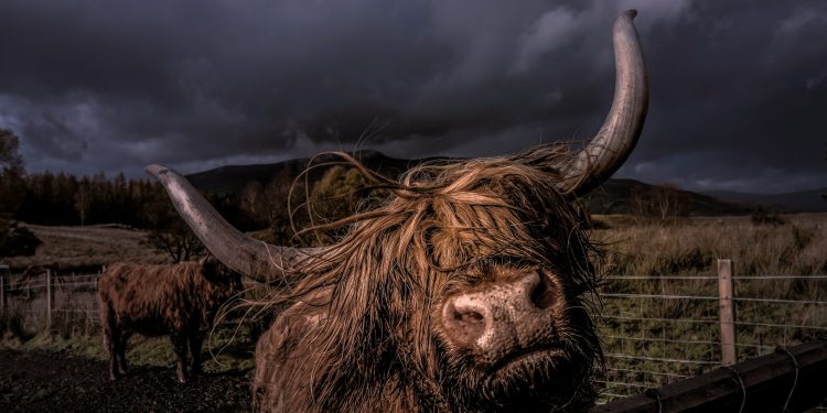 Zašto su imućni ulagači trenutačno super raspoloženi za Bitcoin