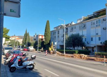 Zeleni koridor: Nastavljaju se radovi na sadnji brijestova niz Bulevar