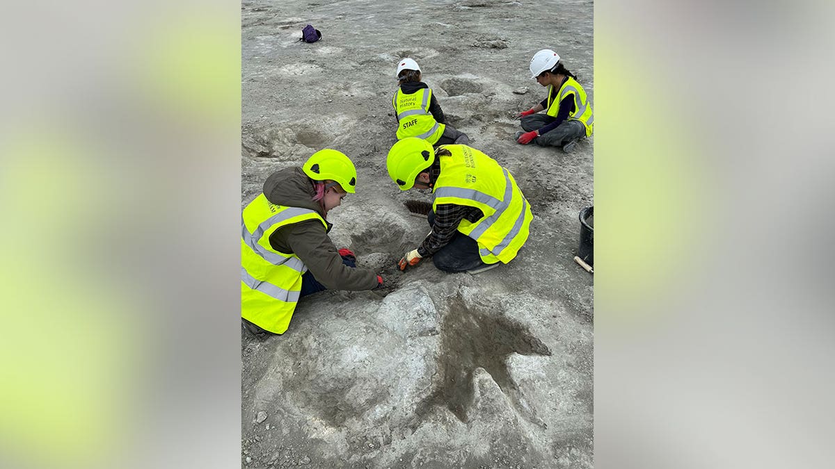 Radnici u fluorescentnim, žutim prslucima i kacigama pažljivo proučavaju otiske dinosaura.