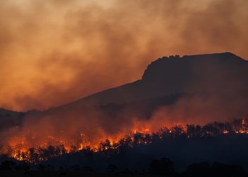 dr.sc. Igor Dekanić: Požari u Los Angelesu i mogući krah politike klimatskih promjena