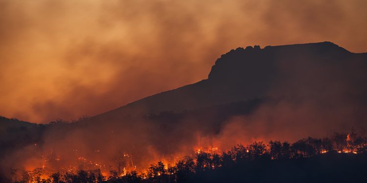 dr.sc. Igor Dekanić: Požari u Los Angelesu i mogući krah politike klimatskih promjena