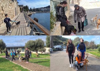 Grad − Druženjem do udomljenja: Još jedna uspješna šetnja pasa iz Azila Dubrovnik u Uvali Lapad (FOTO/VIDEO)