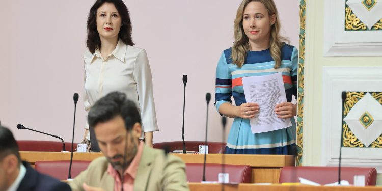 ‘OZBILJNI INTERESI’ Orešković komentirala Selak Raspudić, dobila ekspresni odgovor: Jadna ti sam, majko mila… | NACIONAL.HR