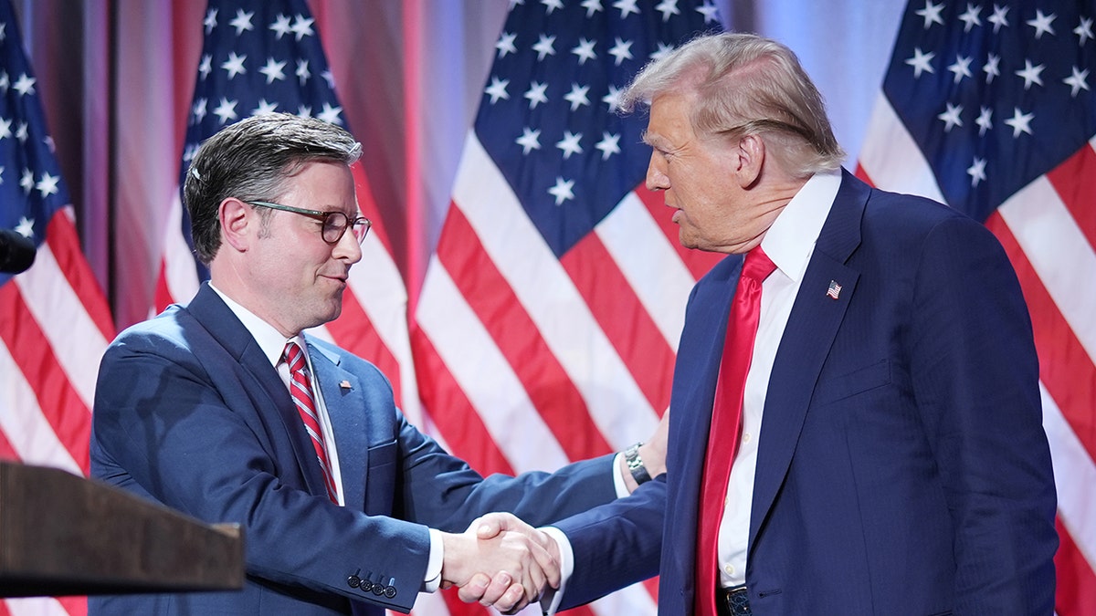 Novoizabrani predsjednik Donald Trump podržava zastupnika Mikea Johnsona za predsjednika Predstavničkog doma.
