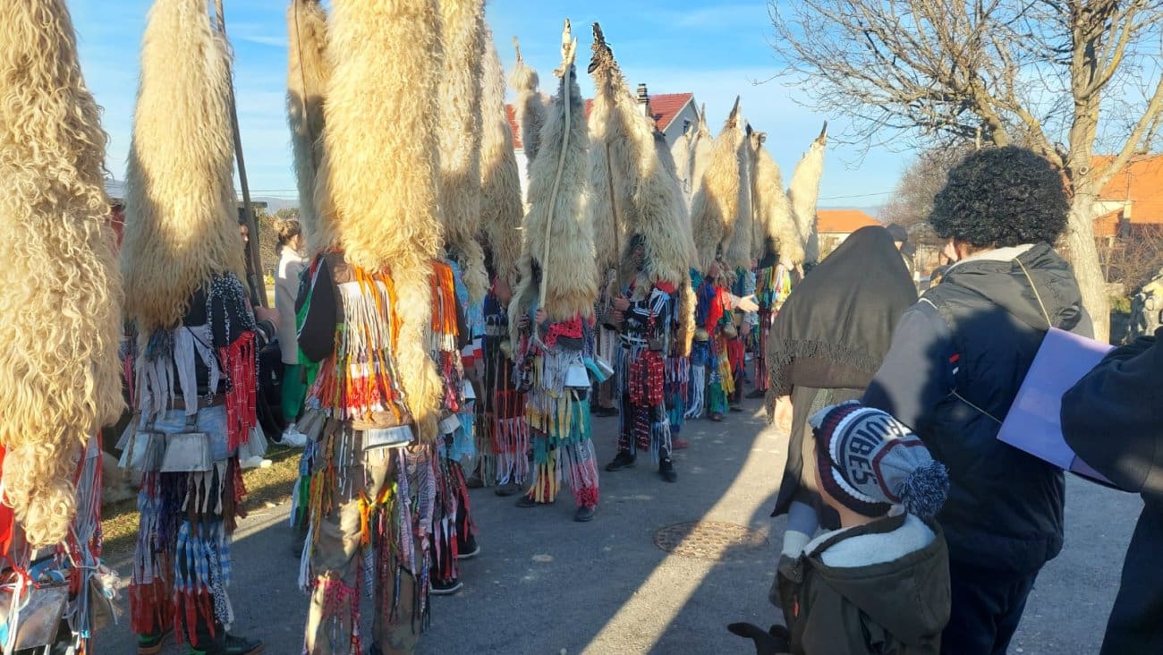 Foto: Saša Tadinac, Mačkare Jabuka