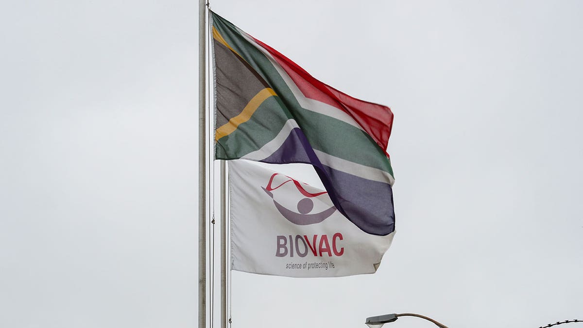 Zastava Južne Afrike