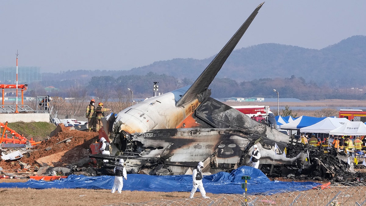 Posljedice pada aviona u Južnoj Koreji sa spasilačkim timom