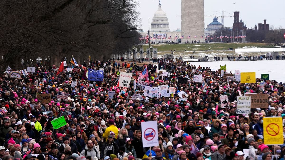   Prosvjednici koji predstavljaju različite skupine za ljudska prava prisustvuju "Narodni marš na Washington" 18. siječnja 2025. u Washingtonu, DC.