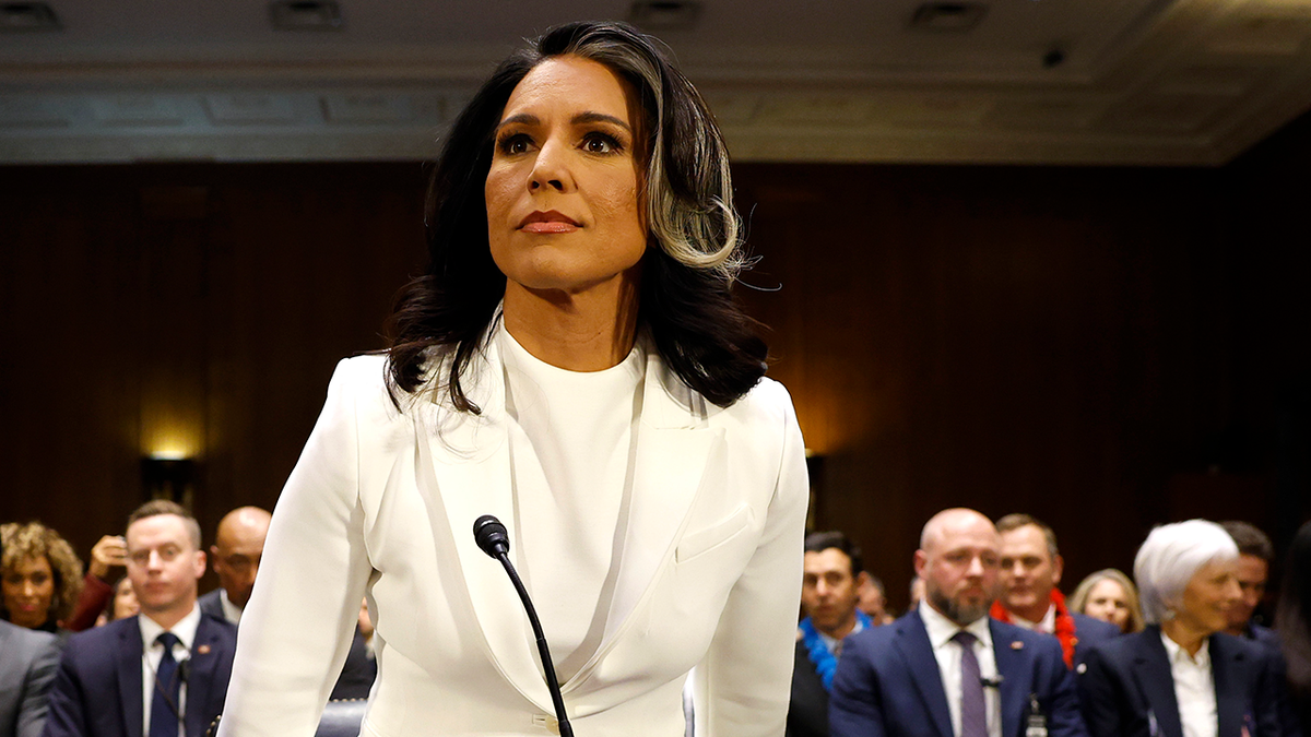 Tulsi Gabbard hearing