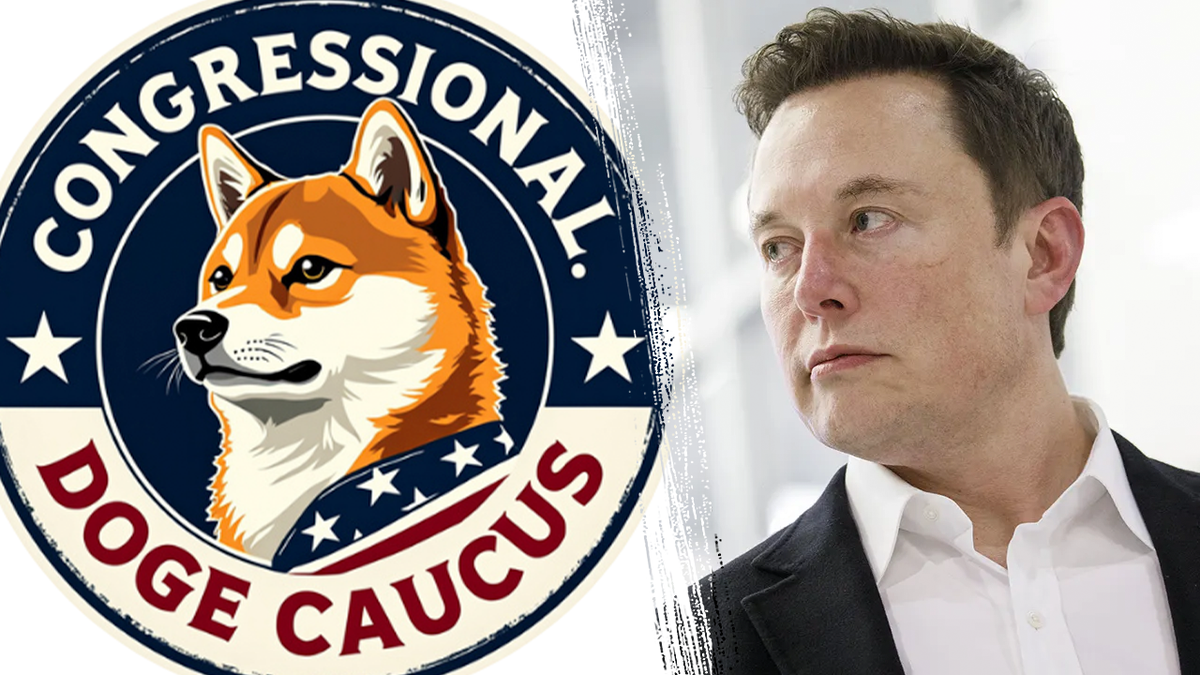 Elon Musk i doge logotip kauka