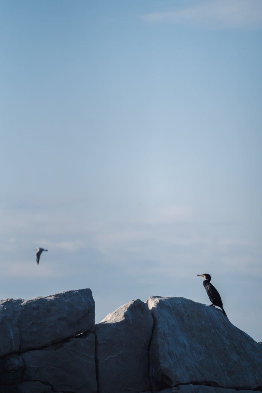 Foto: Igor Jakšić