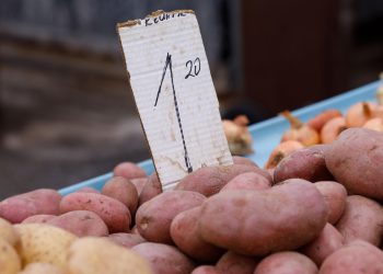 Izgleda da je Plenki iz Egipta donija turu dobroga kumpira: naše poljoprivredne poticaje tribalo bi dati njiovin seljaciman