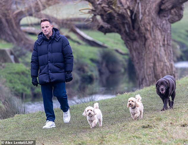 Ant dijeli čokoladni labrador Hurley sa svojom bivšom suprugom Lisa Armstrong, dok ima dva Maltipoosa, Mila i Bumblea, s trenutnom suprugom Anne-Marie Corbett