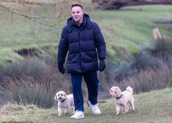 Ant McPartlin spaja se u mornarsko podstavljeno kaput kako bi odveo svoje voljene pse u šetnju u parku Richmond