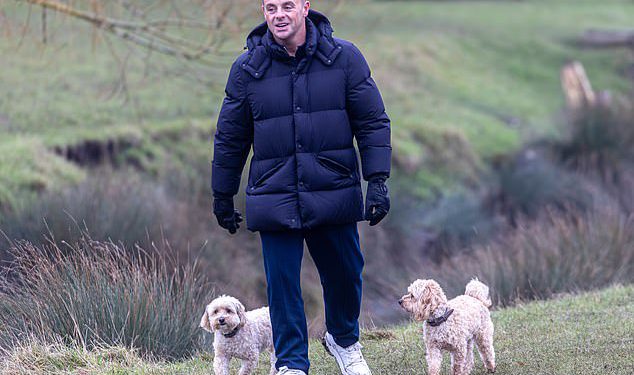 Ant McPartlin spaja se u mornarsko podstavljeno kaput kako bi odveo svoje voljene pse u šetnju u parku Richmond