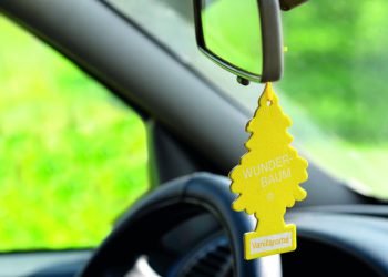 Auto Klub – Čudesni mirisni borić spašava naše nosnice od 1951. godine