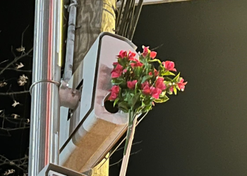 Auto Klub – Gradske vlasti bjesne: Smeta ih domišljati način za izbjegavanje kazni za brzinu