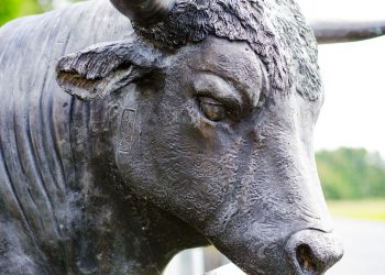 BTC tržište bikova još nije završeno, povijesni trendovi vezani za prosjek od 200 tjedana sugeriraju