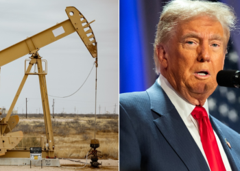 Bilten o politici Fox News: Drill, Baby, Drill!