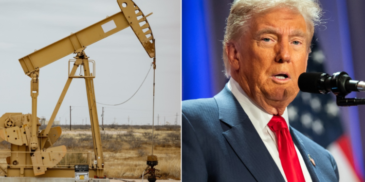 Bilten o politici Fox News: Drill, Baby, Drill!