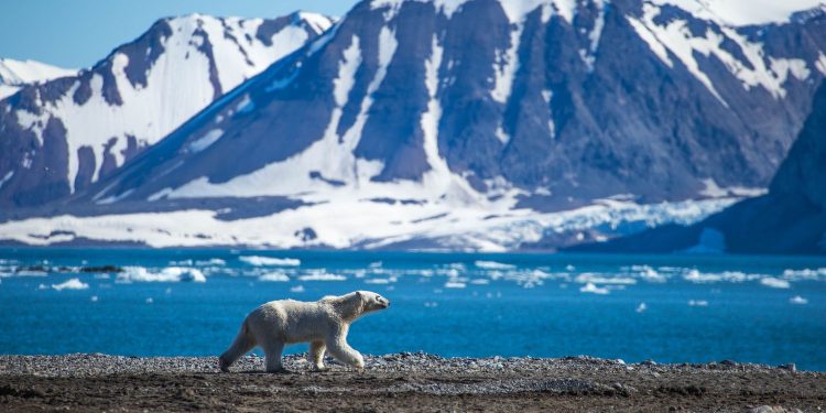 Bitcoin (BTC) klizi ispod 94 tisuće dolara dok se Nasdaq pokušava protresti prošlotjedni trzaji