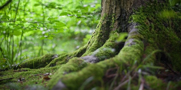 Blockchain premošćivanje protokola slojeve za povezivanje s Bitcoin Sidechain Rootstock