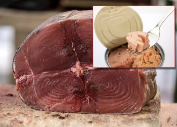 Borzan iz Euro-parlamenta upozorava: “Otkrivene alarmantne razine žive i teških metala u tuni koja se prodaje u Hrvatskoj