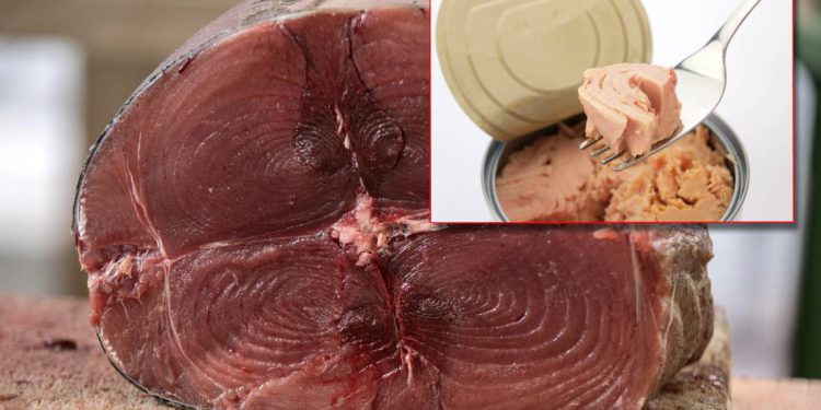 Borzan iz Euro-parlamenta upozorava: “Otkrivene alarmantne razine žive i teških metala u tuni koja se prodaje u Hrvatskoj