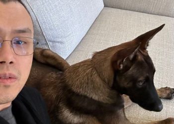 CZ -ov pas izvršio je ubojstvo za jednog tvorca Memecoina i ubio sve ostale