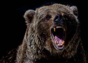 Cijena Bitcoin (BTC) mogla bi pasti na 86 tisuća dolara jer potražnja, mrežna aktivnost propadne