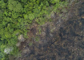 Čovjek iz netaknutih plemena snimljen iz Amazona i traži vatru