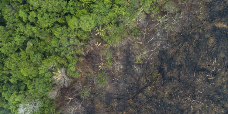 Čovjek iz netaknutih plemena snimljen iz Amazona i traži vatru