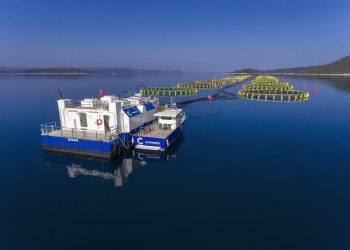 Cromaris objavio da je ostvario veliku dobit, no zbog sve toplijeg mora umire sve više ribe!