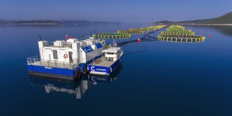 Cromaris objavio da je ostvario veliku dobit, no zbog sve toplijeg mora umire sve više ribe!