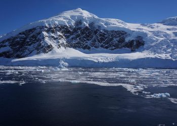 Fosil gotovo potpune lubanje otkriven na Antarktici mogao bi biti rana ptica koja datira iz vremena dinosaura