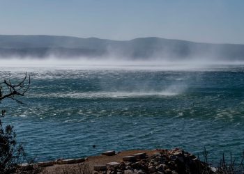 Gusta morska voda Sjevernog Jadrana ključna je za ravnotežu cijelog ekosustava