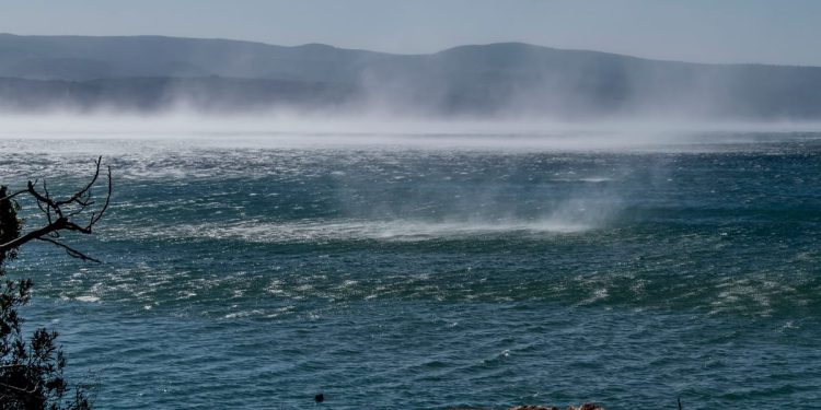 Gusta morska voda Sjevernog Jadrana ključna je za ravnotežu cijelog ekosustava