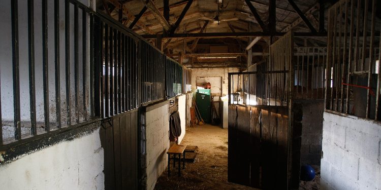 Izašli novi mučni detalji: ‘Vrhunski konji na Hipodromu su pretvoreni u kosture, oteto ih je 45’