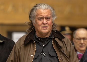 Izrežite, ali nemojte koristiti ‘Mesna sjekira’: Steven Bannon upozorava Trumpa i mošusa da je gomila magas na Medicaidu