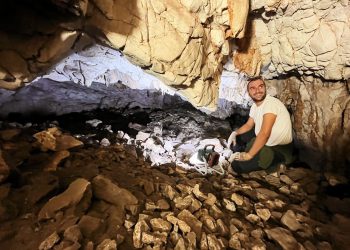 Izvanredno otkriće u Ratinoj špilji na otoku Šćedro: Tragovi života stari više od 7.000 godina