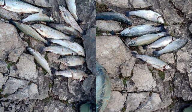 JEZERO SALAKOVAC Ribočuvari uhvatili dvojac sa prekomjernim ulovom