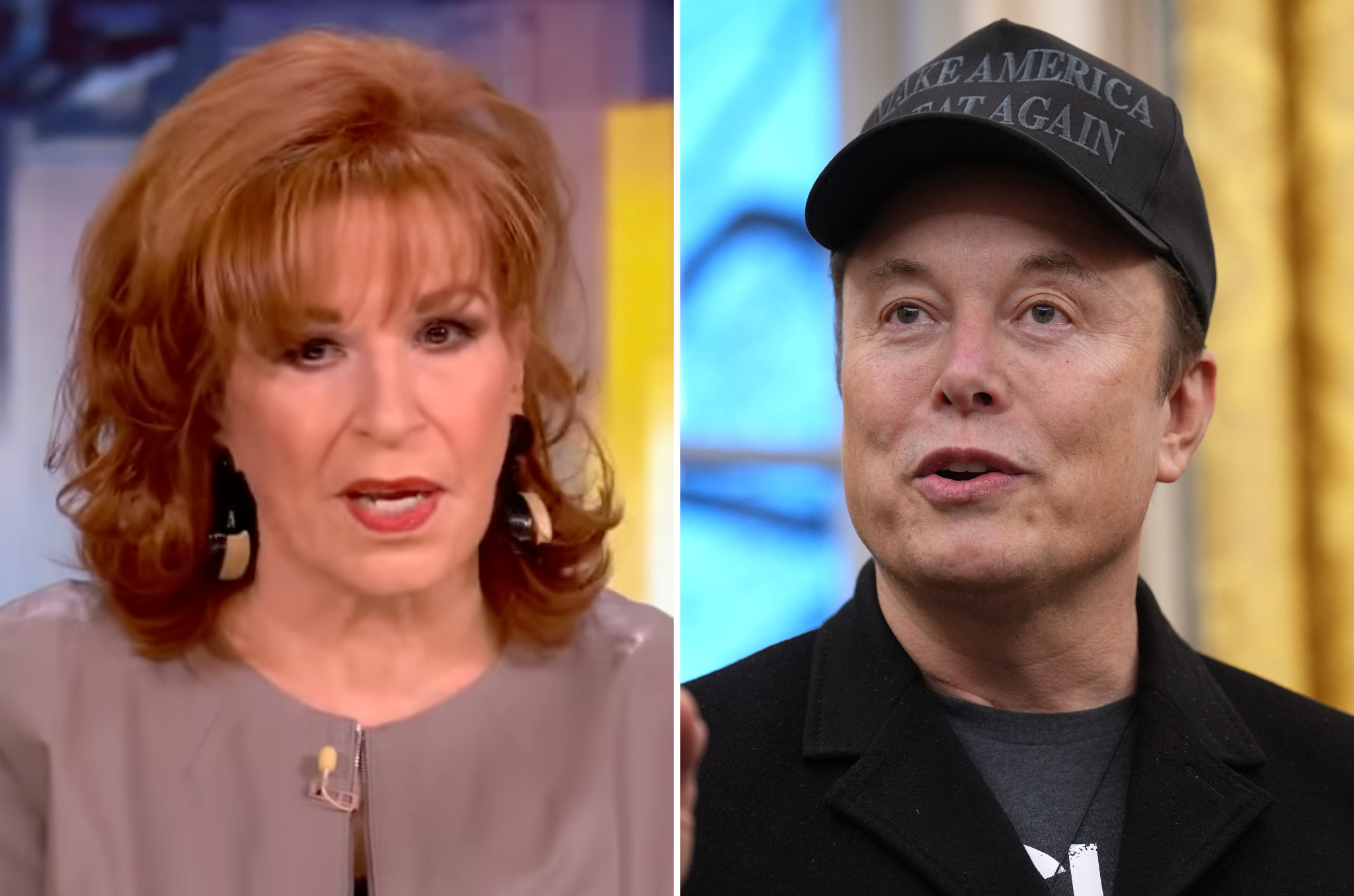 Joy Behar nazvao je Elon Musk 'pro-apartheidom' tijekom epizode 'The View' u četvrtak u četvrtak