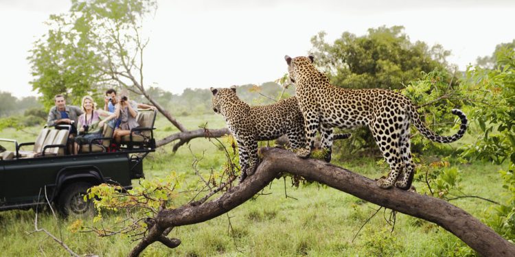 Južna Afrika vidi stalni rast turizma – RT Afrika