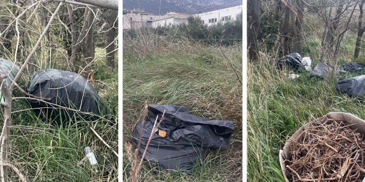 KAKAV BEZOBRAZLUK Pogledajte gdje neodgovorni pojedinci bacaju smeće