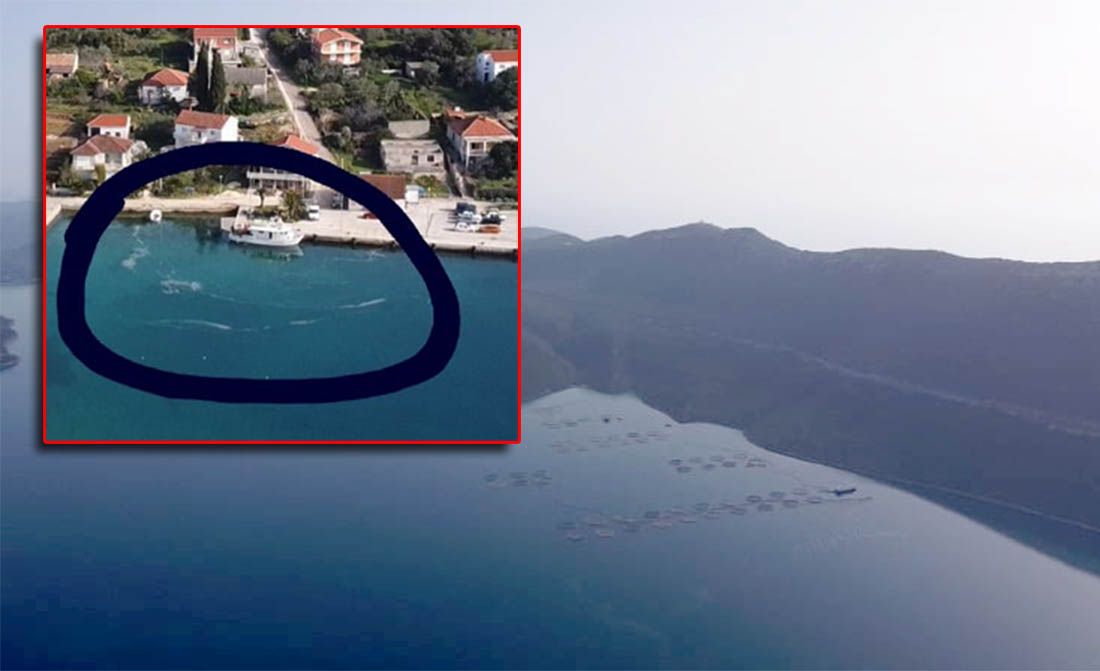 Cromaris objavio da je ostvario veliku dobit, no zbog sve toplijeg mora umire sve više ribe!