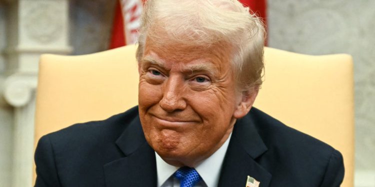 Koje su rijetke zemlje Ukrajine i zašto ih Trump želi?