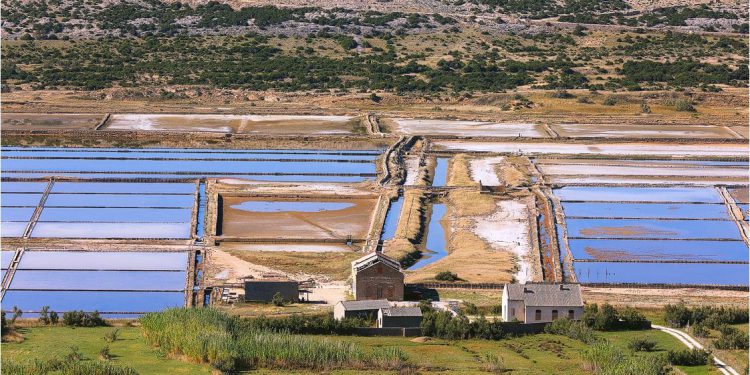 Krah još jednog dalmatinskog proizvođačkog brenda: Dožupanica sumnja da se zatvara Solana Pag