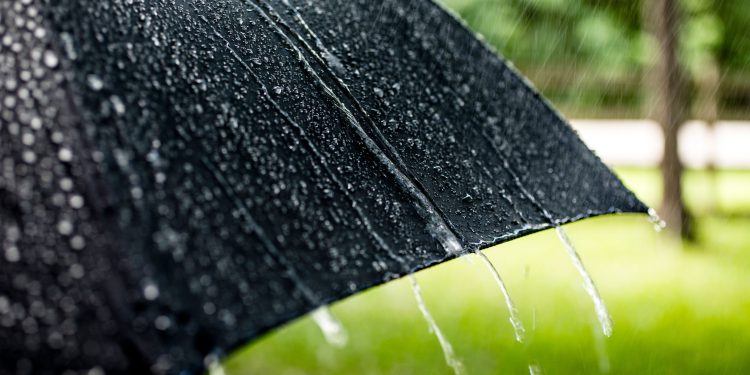 Kripto zalihe padaju 5% jer američka budućnost ukazuje na više gubitaka bitcoina